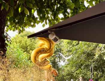 Zwei goldene Ballons im grünen an einem dunklen Sonnenschirm. Jubiläum feiern im Schloss Friedestrom